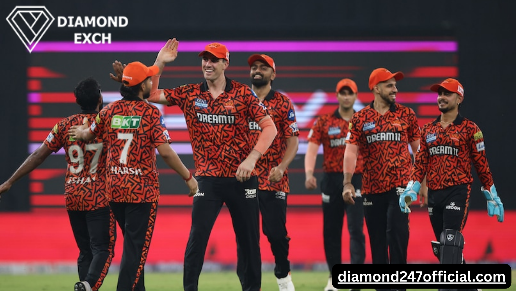 RCB vs SRH: Hyderabad Romp To Massive Win Over Bengaluru At Ekana